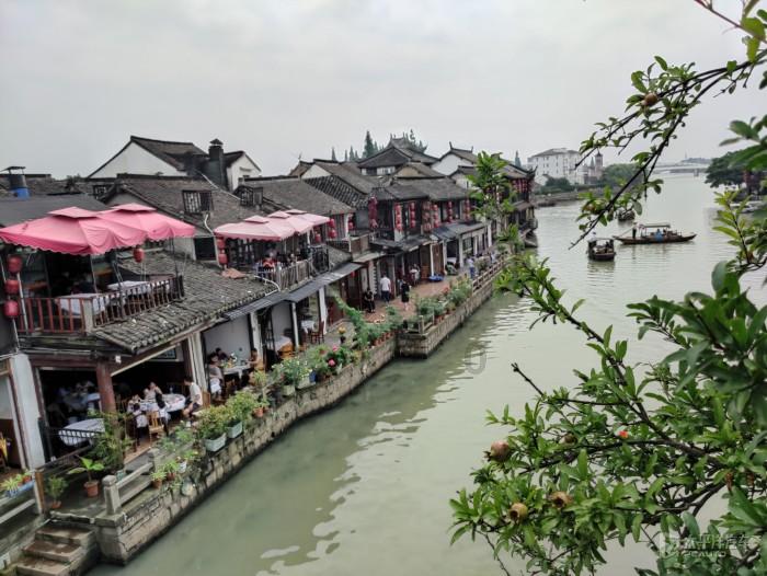 动物帮帮忙保卫家园